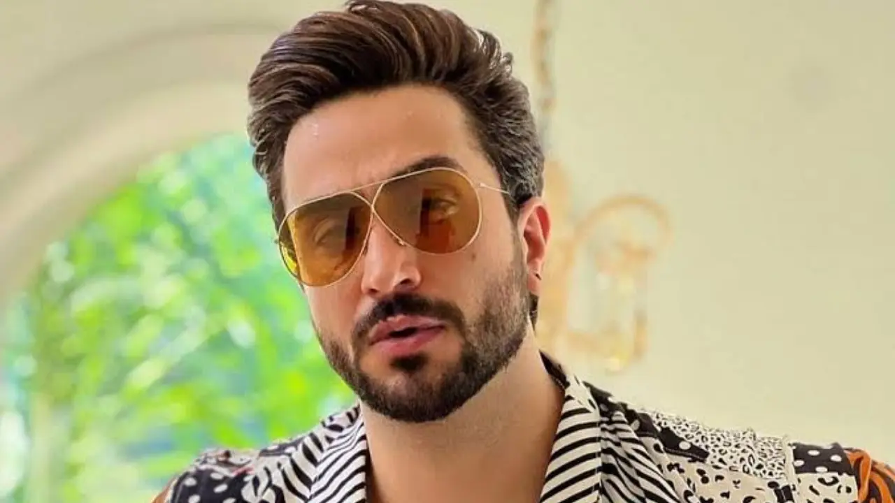 Picture Courtesy/Aly Goni's Instagram account